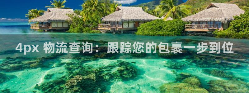 28圈大神预测