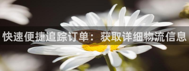 28圈机器人是什么软件