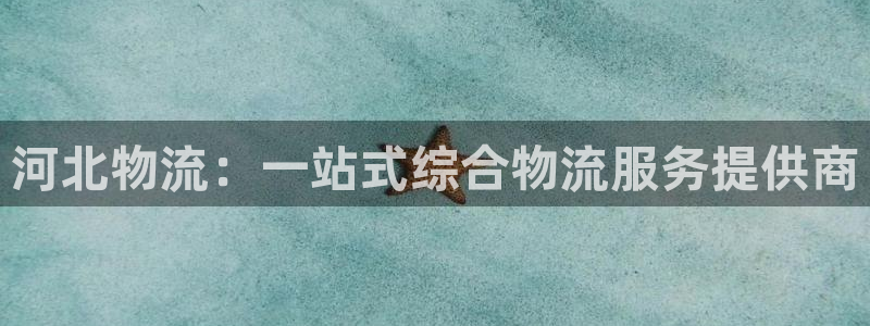 28圈违法吗：河北物流：一站式综合物