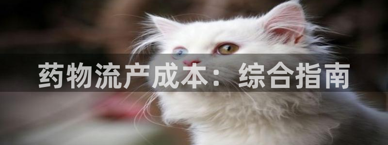 28圈.ccm正版