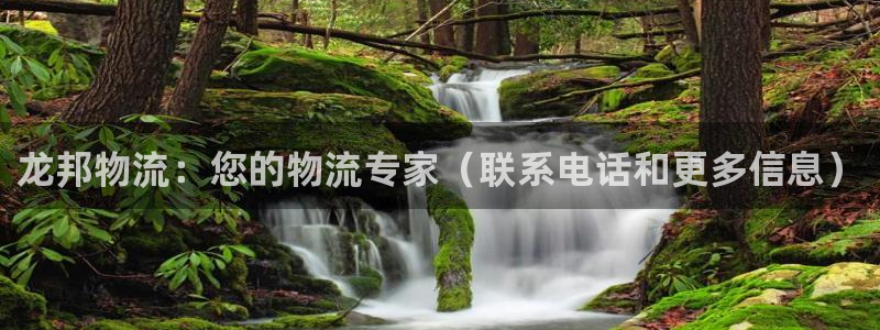 28圈加拿大是什么