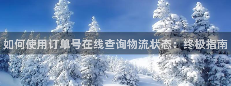 28圈加拿大28