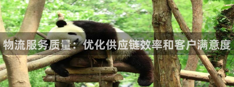 28圈预测：物流服务质量：优化供应链