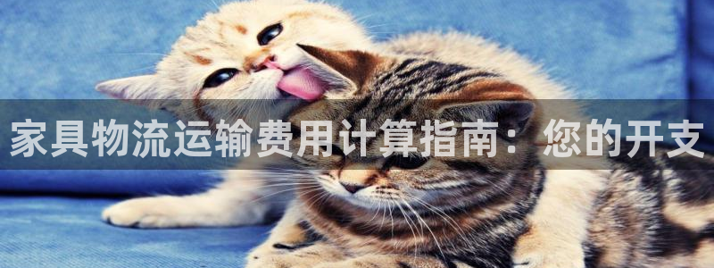 28圈app官网少林足球