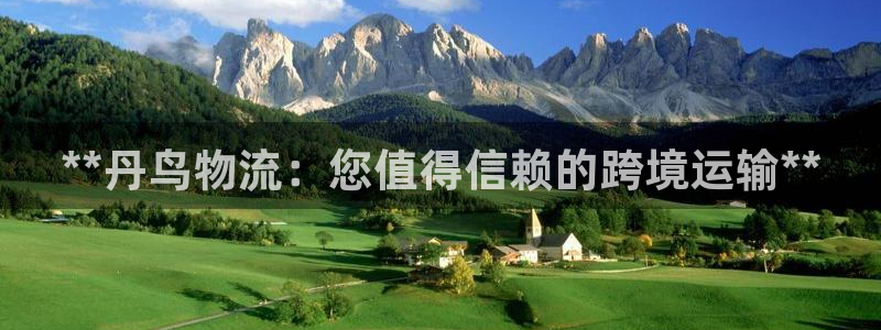 28圈加拿大模拟器：**丹鸟物流：您