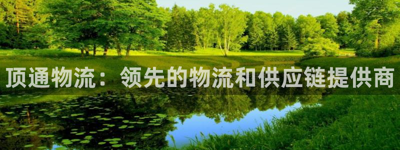 28圈官网开奖结果预测查询