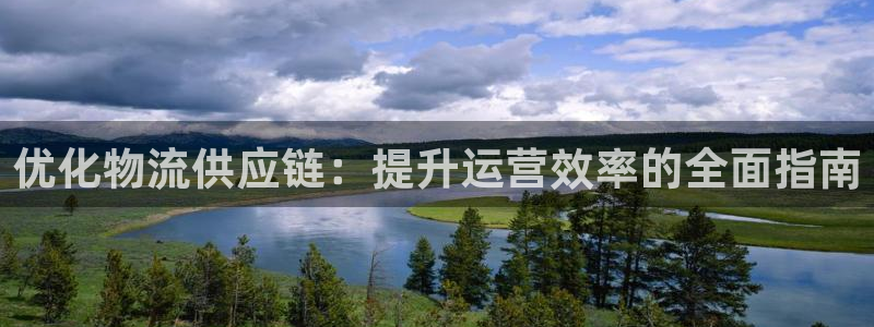 28圈正规吗：优化物流供应链：提升运