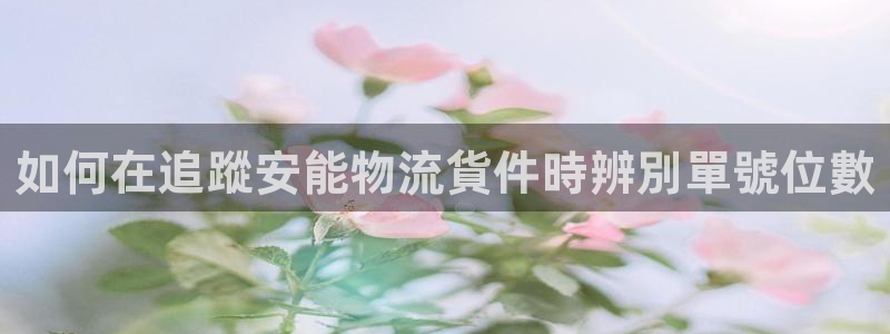 28圈正规吗