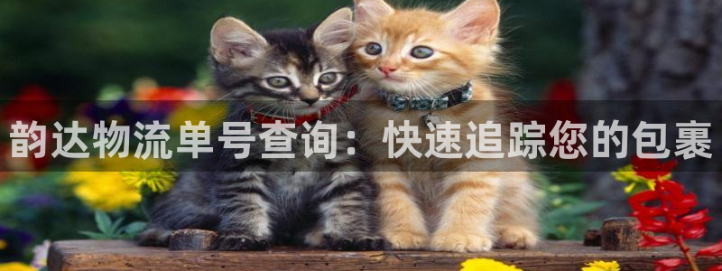 28圈ccm游戏