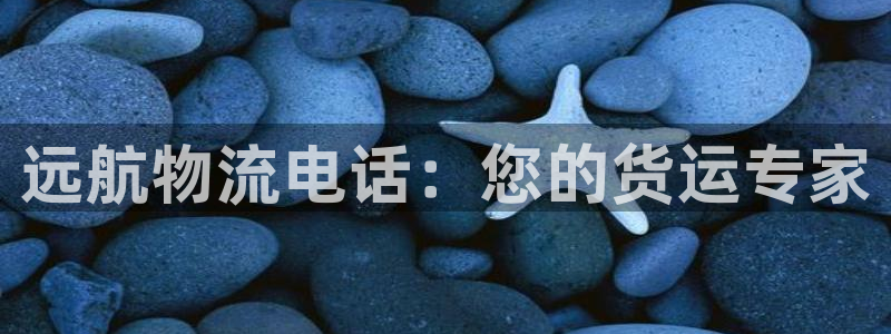 28圈cn：远航物流电话：您的货运专