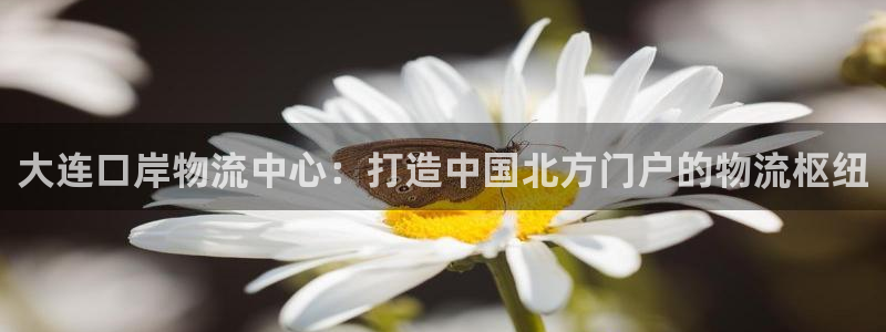 28圈游戏