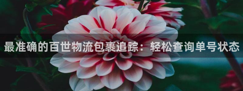 28圈预测