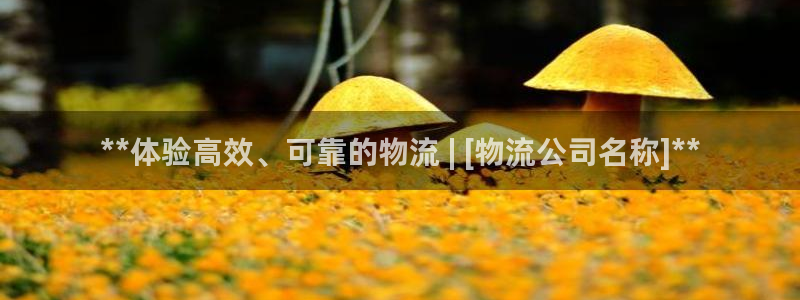28圈加拿大app预测
