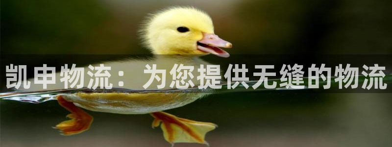 28圈充值不到账怎么回事