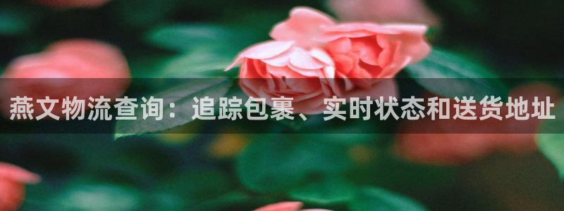 28圈注册网站：燕文物流查询：追踪包