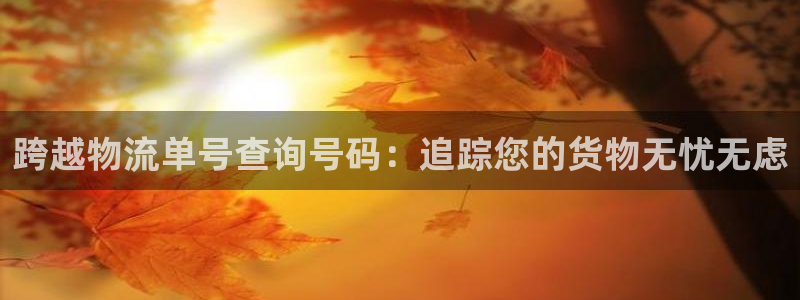 28圈.ccmpc预测