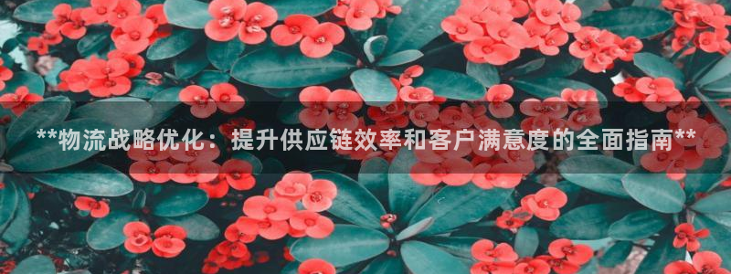 28圈自行车图片大全