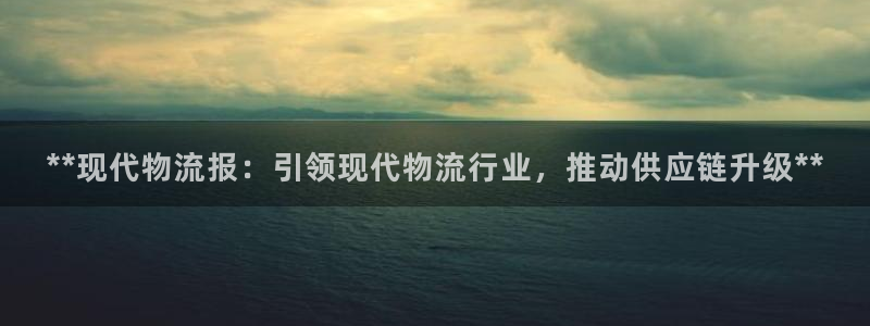 28圈龙虎：**现代物流报：引领现代