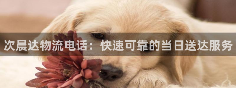 28圈网赌案件