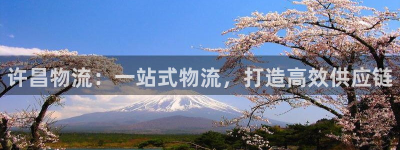 28圈能提现吗