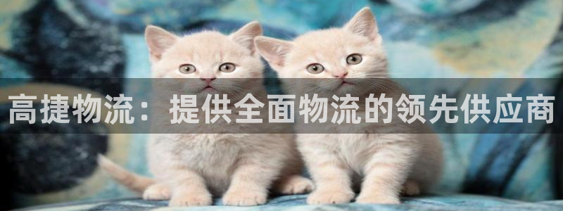 28圈黑款