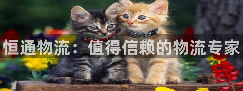 28圈APP是干什么的