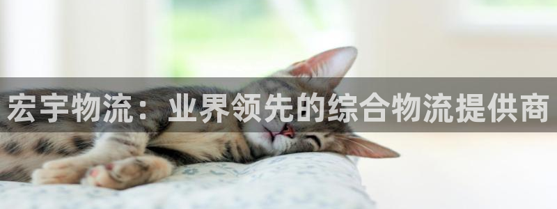28圈官方版正版