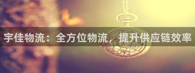 28圈注册网页版：宇佳物流：全方位物