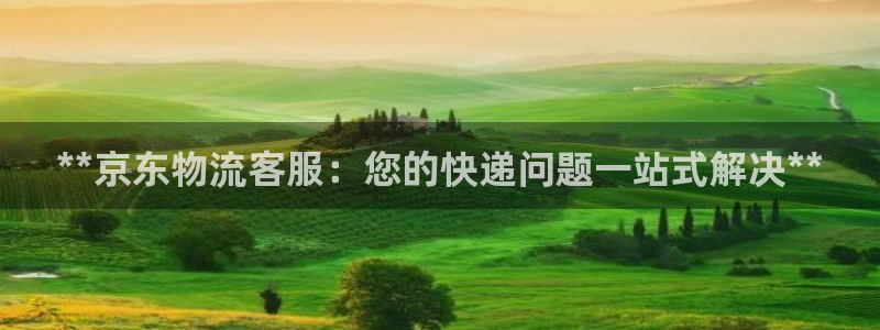 28圈充值不到账什么原因