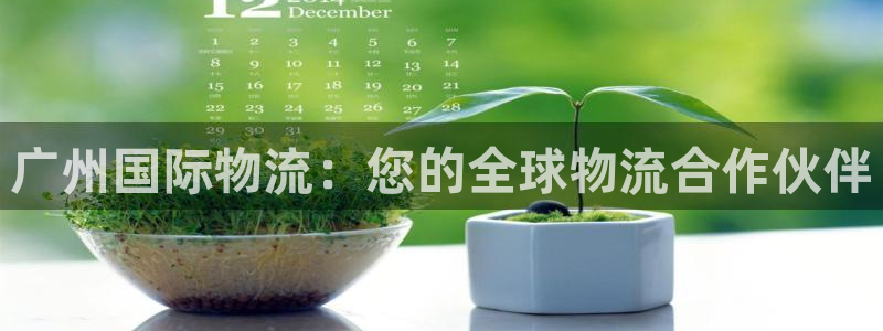 28圈自行车图片大全：广州国际物流：