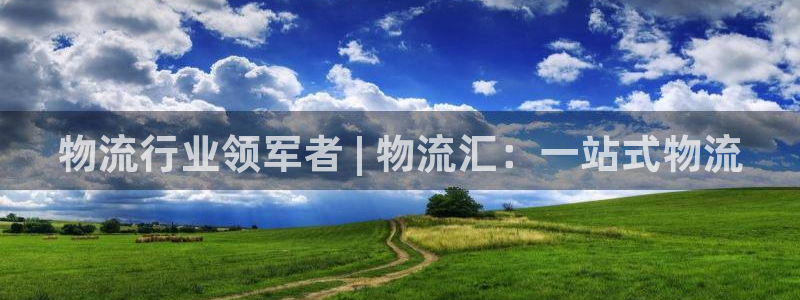 28圈充值为什么充不了：物流行业领军