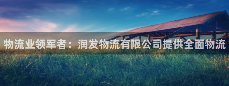 28圈入口问一问：物流业领军者：润发