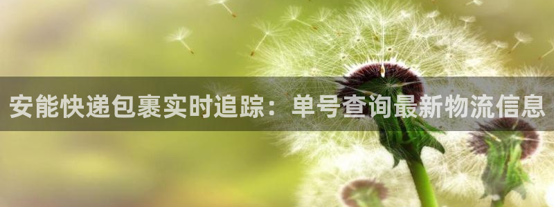 28圈注册登录：安能快递包裹实时追踪