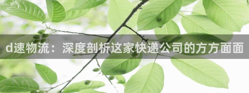 28圈