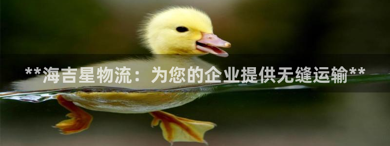 28圈注册登录链接流程：**海吉星物