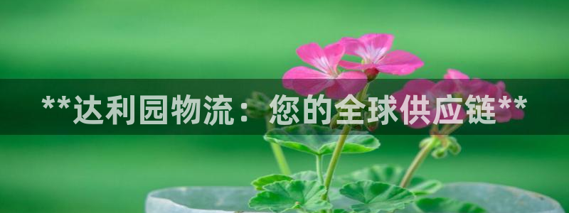 28圈哪个最赚钱