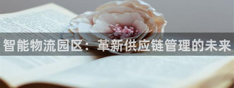 28圈加拿大是什么