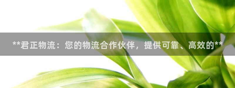 28圈圈助手