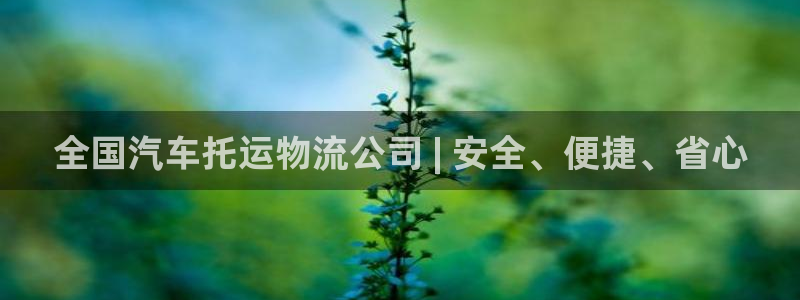 28圈app赢了500万
