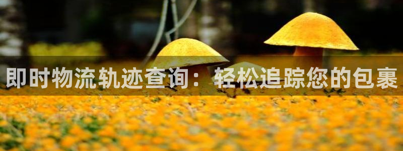 28圈下载链接是多少