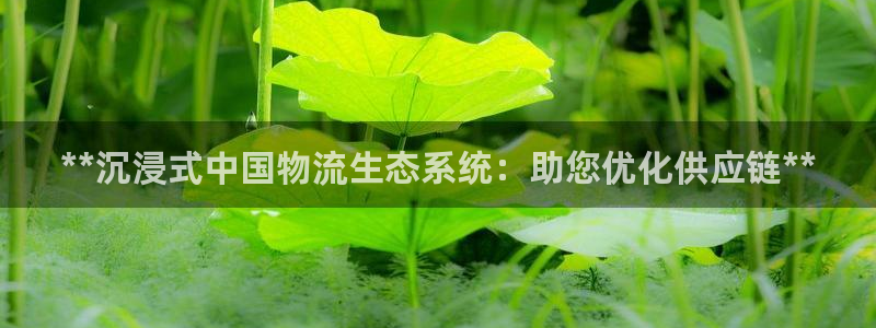 28圈软件堵什么反什么：**沉浸式中