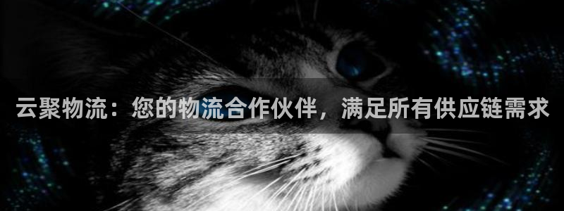 28圈是正规软件吗