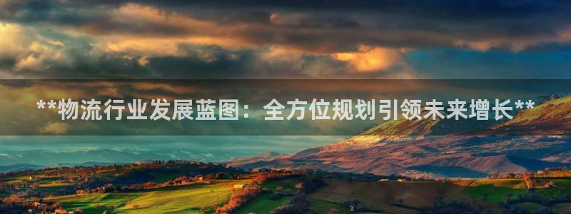 28圈注册平台：**物流行业发展蓝图