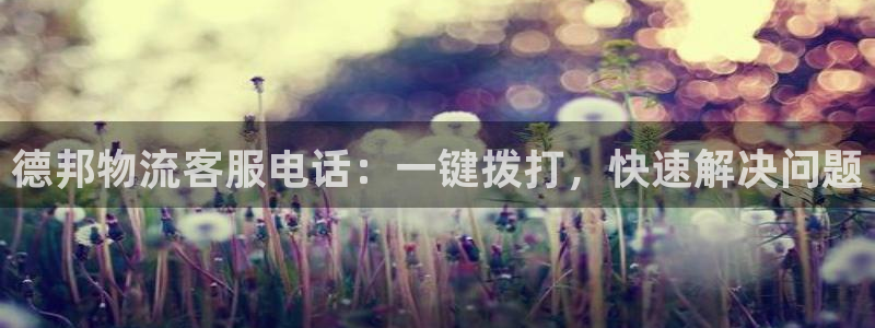28圈加拿大走势：德邦物流客服电话：