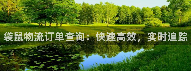28圈注册号：袋鼠物流订单查询：快速