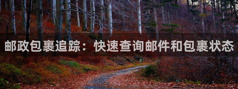 28圈下载不了