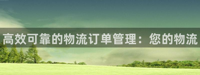 28圈黑款：高效可靠的物流订单管理：