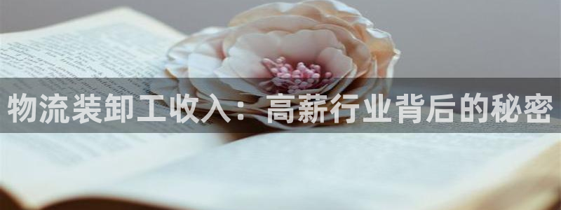 28圈模拟器在线使用：物流装卸工收入