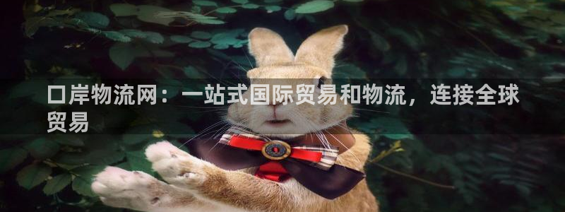 28圈pg如何退钱