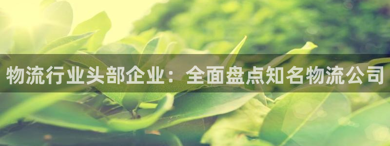 28圈能赢钱吗：物流行业头部企业：全